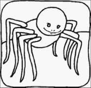 hernandoliving.com Spiderr