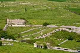 absolutads.com Spinazzola