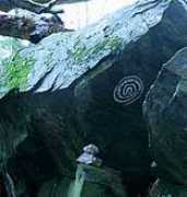 earthspirit.com Spirock
