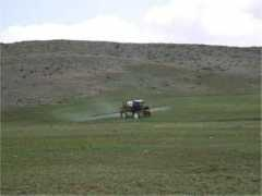 larimer.org Spraying
