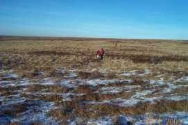 richkni.co.uk Spriddle