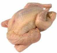 Squab