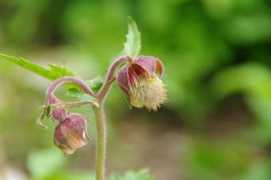 mojalbum.com Sretena