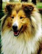 nyitramenti.hu Stail