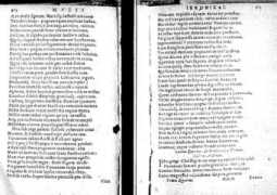 uni-mannheim.de Stanter