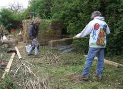 Staves