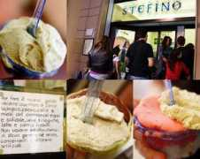 Stefino