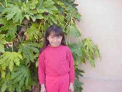 socalsail.com Stephaniea