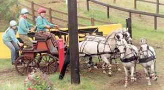 starimage.co.uk Stfort