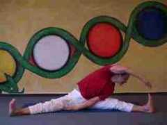 my.yoga-vidya.org Sthir
