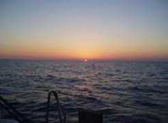 quebarbara.net Stillon