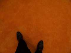 glendathegood.com Stingel