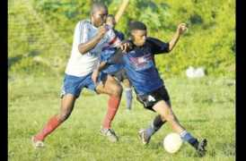 jamaicaobserver.com Stivel