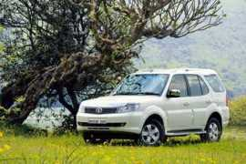 Storme