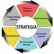 vitcas.pl Strategia