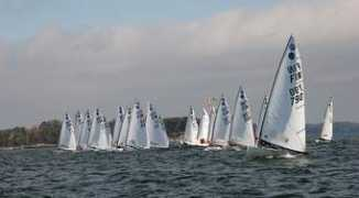 Stregatta