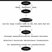 helhetsterapeut.no Studier
