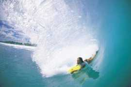 saltwater-dreaming.com Stward