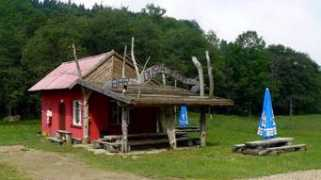 marekowczarz.pl Sulila