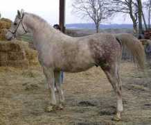 lydielemmens.free.fr Sulimam