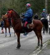 lydielemmens.free.fr Sulimam