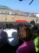 Suludere