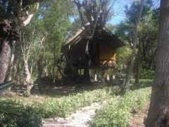 Sunduseng