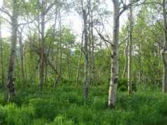 rockymountainhomes.net Sunridge