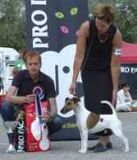 saunalahti.fi Suntila