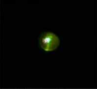 laserpointerforums.com Sunzy