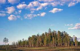 veikkovasama.net Suosaari