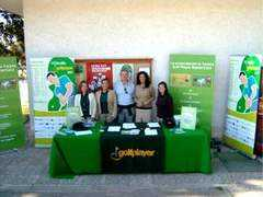 Surribas