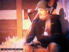 jiskefet.net Swiebertje