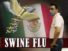 topnews.in Swineflu