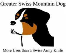 romanreign.com Swissy