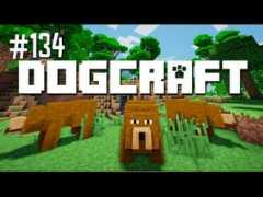 article.wn.com Syaikhah