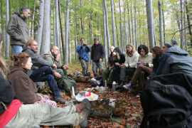 pracownia.org.pl Szafert