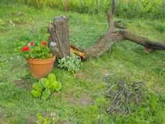 panoramio.com Szatmary