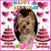 teoka.hupont.hu Szulin