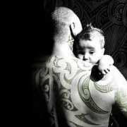 amplifier.co.nz Taane