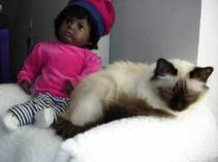 elsharani.de Taborah