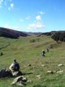 caicastrovillari.it Tacina