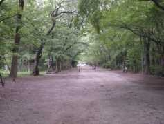 panoramio.com Tadasu