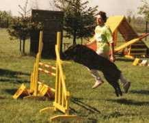 legendes-lorraines.com Taianne
