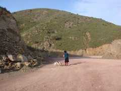 chiosnews.com Taisma