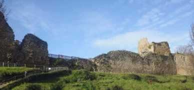 eurocom-immobilier.com Talmont