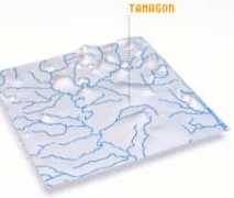 Tamagon