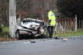 stuff.co.nz Tamahere