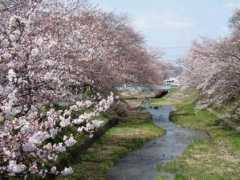 atss.sakura.ne.jp Tamamizu