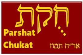 israelnationalnews.com Tamei